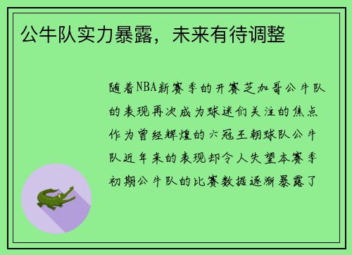 公牛队实力暴露，未来有待调整