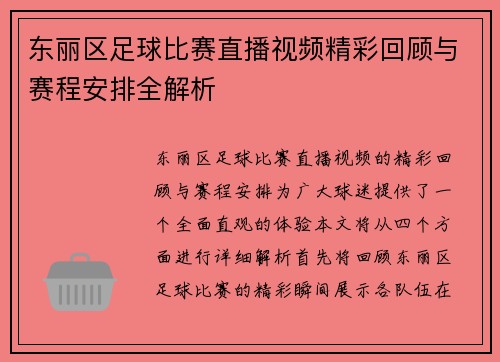 东丽区足球比赛直播视频精彩回顾与赛程安排全解析
